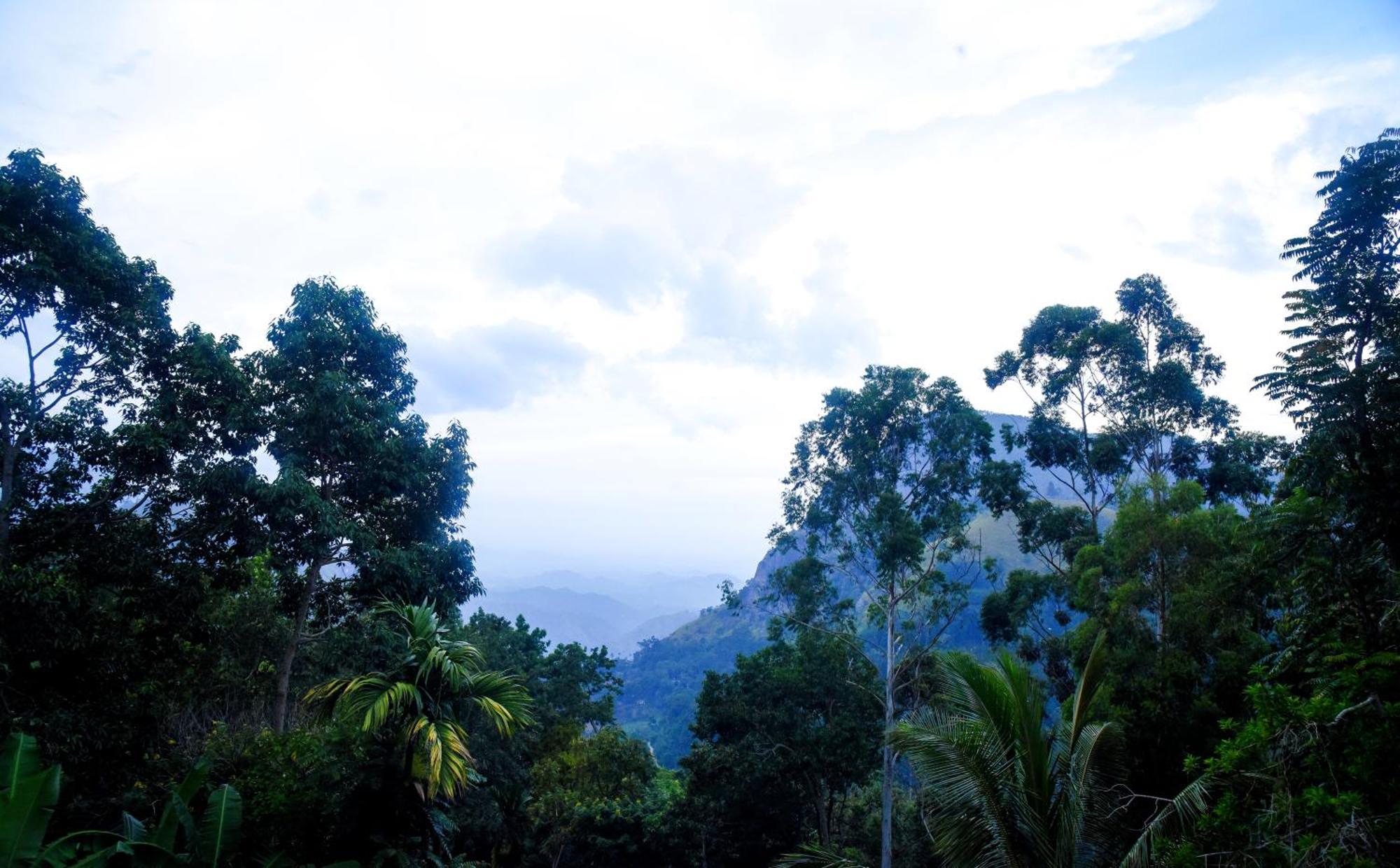Eco Salient View Bed & Breakfast Ella Luaran gambar
