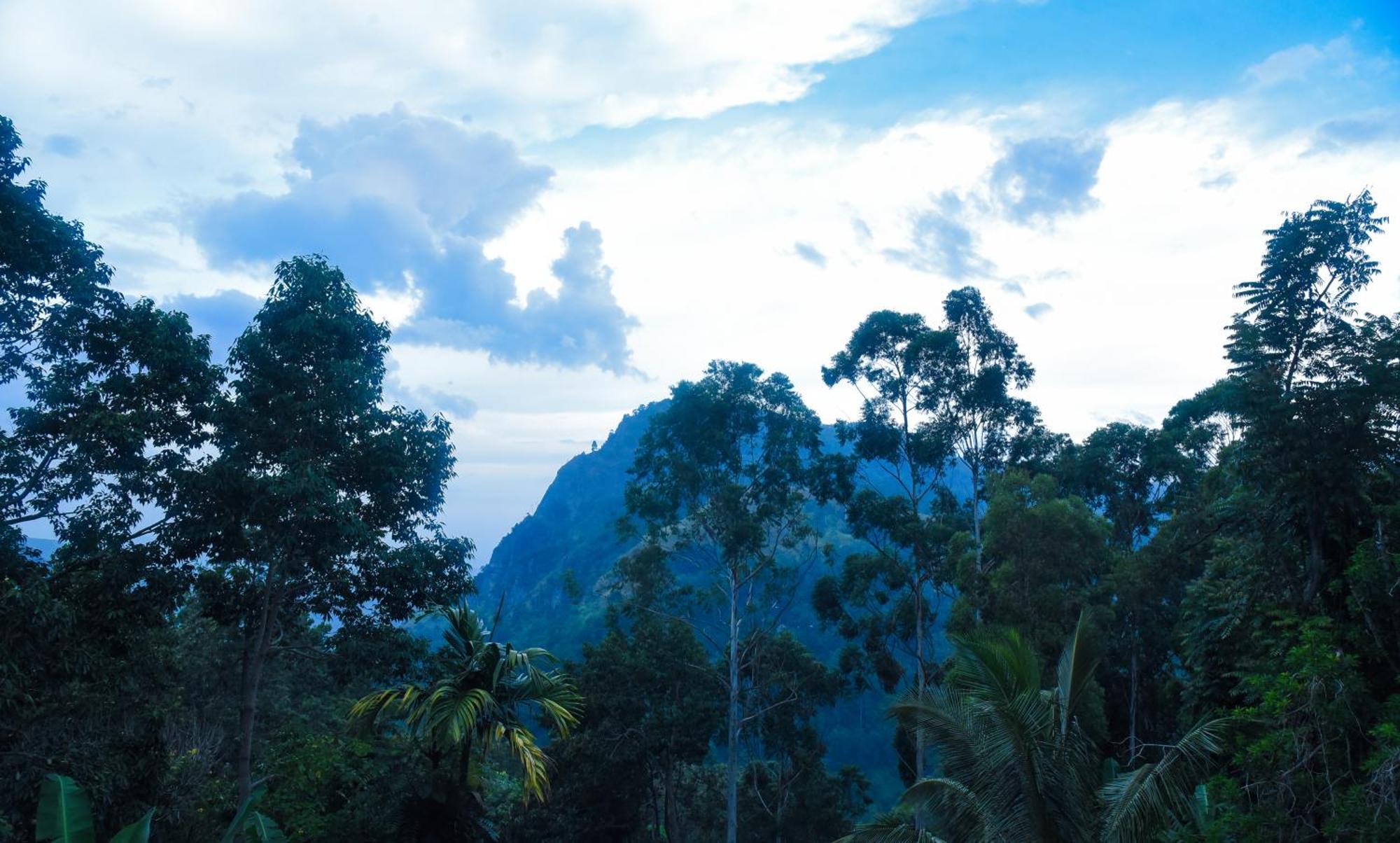 Eco Salient View Bed & Breakfast Ella Luaran gambar