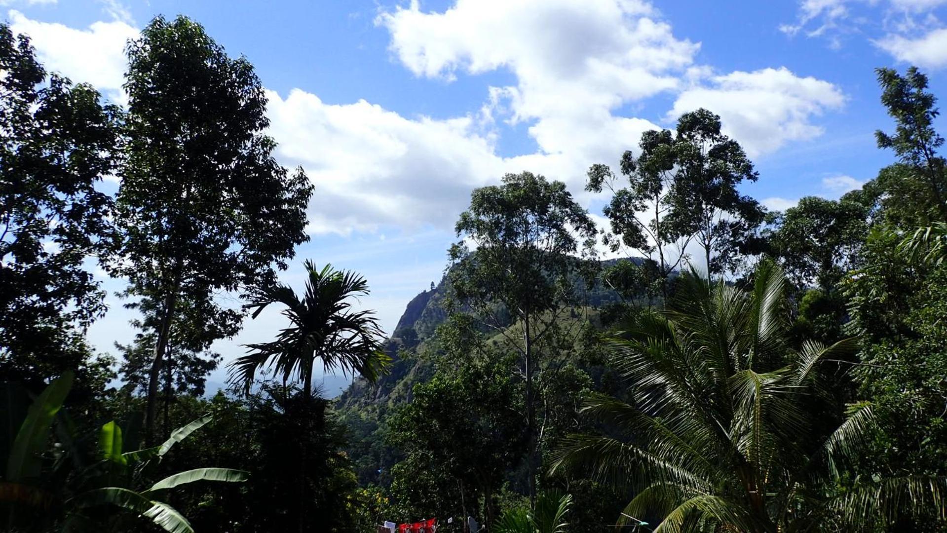 Eco Salient View Bed & Breakfast Ella Luaran gambar
